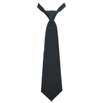 CZ/SK Krawatte, Schnellbinder, grün, neuwertig 
