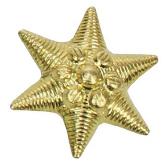 Ungar. Metallabzeichen, gold, Stern, neuw. 